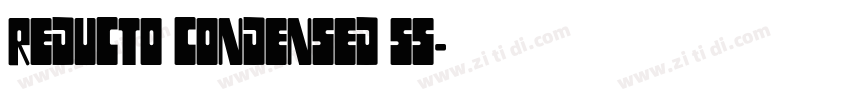Reducto Condensed SS字体转换